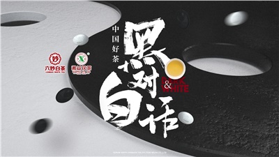 首屆黑白對話高峰論壇圓滿落幕！湘益茯茶備受關(guān)注！